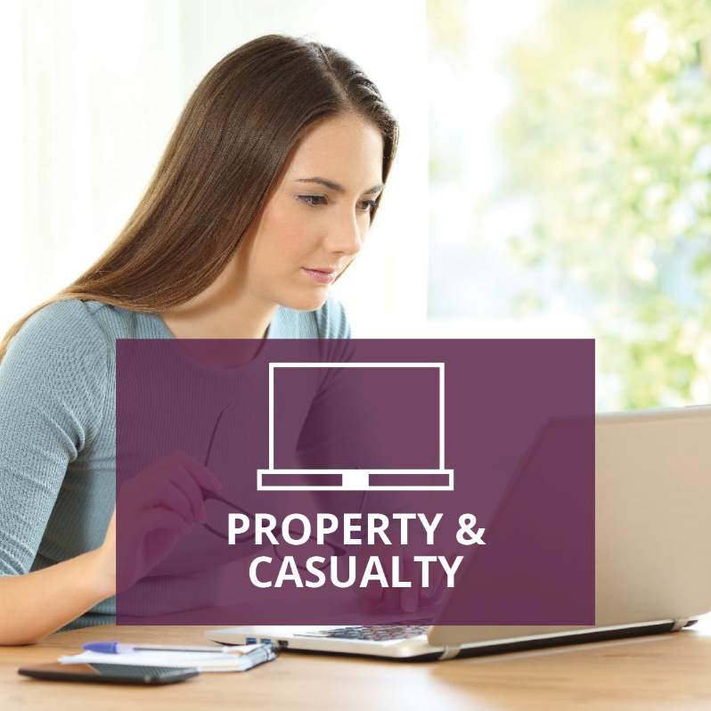 Product Description: Property & Casualty Prelicensing Exam Prep</br></br>IIANM has partnered with ExamFX to create a comprehensive online training program to ensure candidates are prepared to pass their exam on the first attempt. We have a couple of study packages available to fit your learning preference and budget.</br> ExamFX Property & Casualty VIDEO STUDY PACKAGE